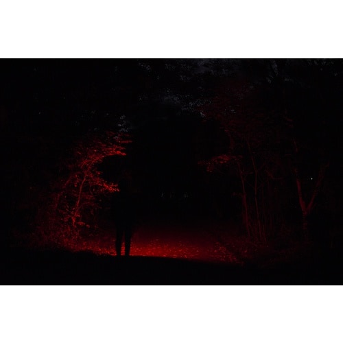 GENTOS COB LEDヘッドライト コンブレ