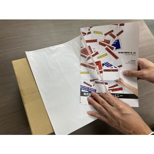 パピルス デリバリーパック (A4サイズ用) 25