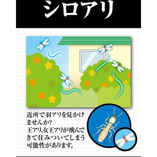 フマキラー 殺虫スプレー シロアリジェットプロ45