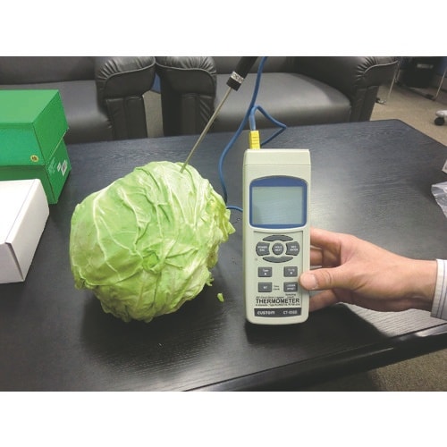 CUSTOM デジタル温度計