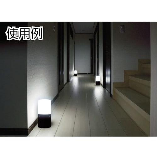 IRIS 233003 センサーライト ブラック