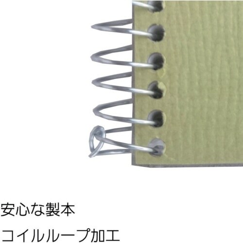 maruman F6 スケッチブック オリーブシリ