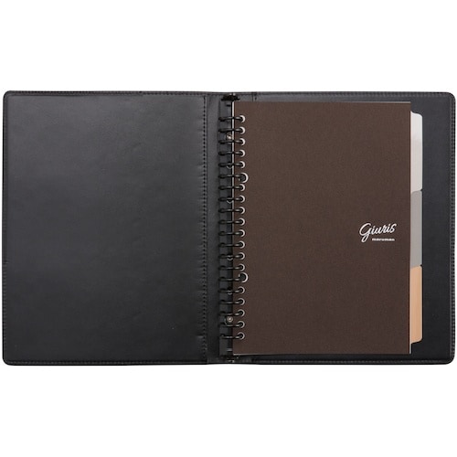 maruman A5 バインダー ジウリス ベージ