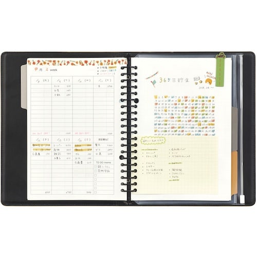 maruman A5 バインダー ジウリス ベージ