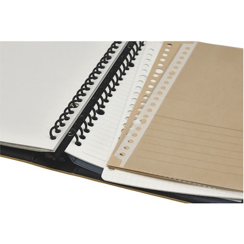 maruman A5 バインダー ジウリス ベージ