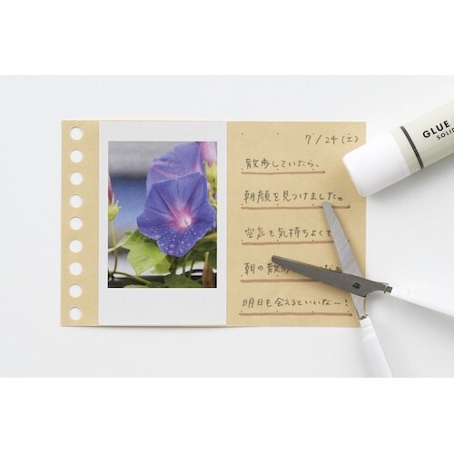 maruman B7E スクラップリーフミニ