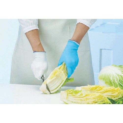 SHOWA 耐切創手袋 No520ケミスターフィッ