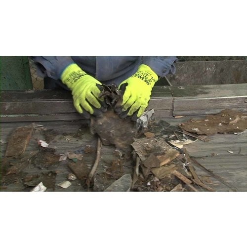 SHOWA 【売切廃番】ショーワ 耐切創手袋 S−