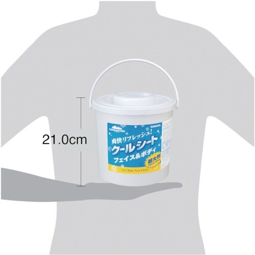 サラヤ クールリフレ 70枚入り