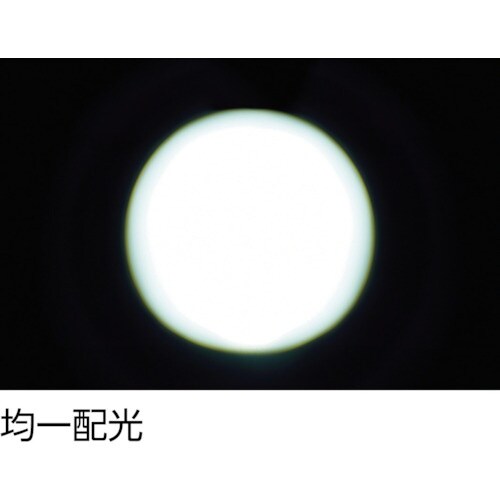 TRUSCO 【売切廃番】小型高輝度LEDライト