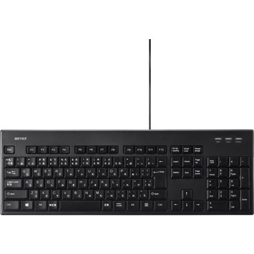 BUFFALO 【期間限定2025年9月30日まで