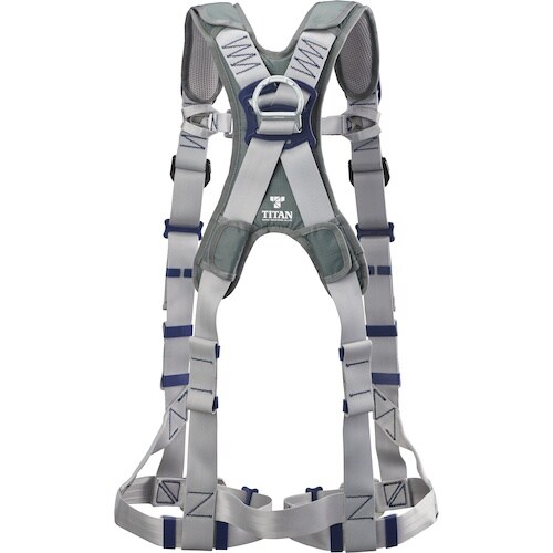 タイタン タイタン パンゲア ホライゾン シルバー