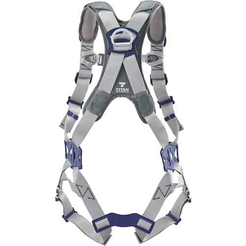 タイタン タイタン パンゲア キャニオン シルバー