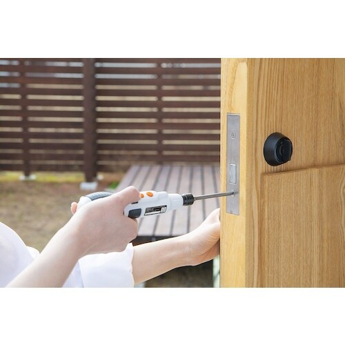 IRIS 574520 充電式ボールグリップミニド