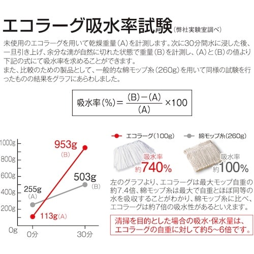 テラモト エコラーグ(10枚入)