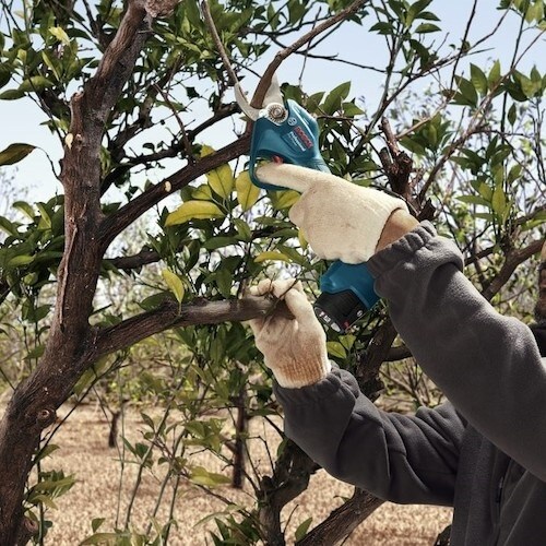 ボッシュ コードレス剪定ばさみ