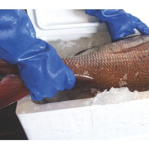 アトム ネオイーグル M