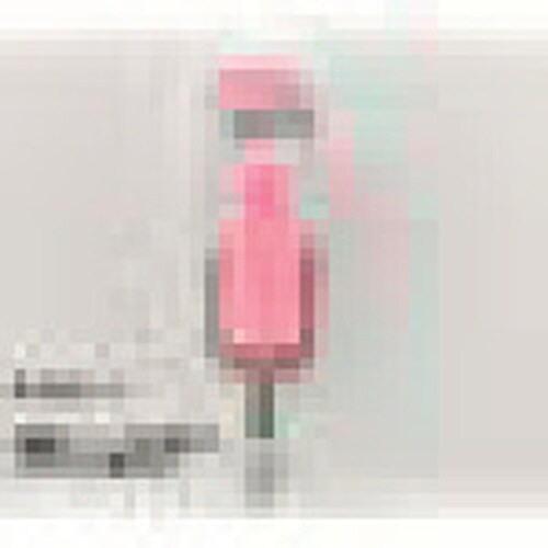 サンケー 強力スリムフック プチ (マグネット式)