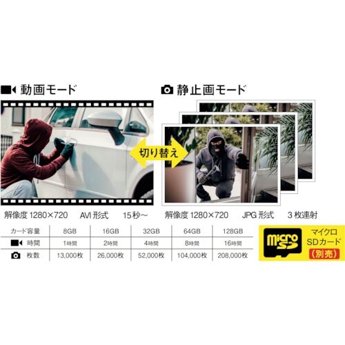 RITEX 乾電池式どこでもセンサーカメラ