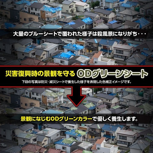 萩原 ターピー 防災・減災シート#3000 ODグ