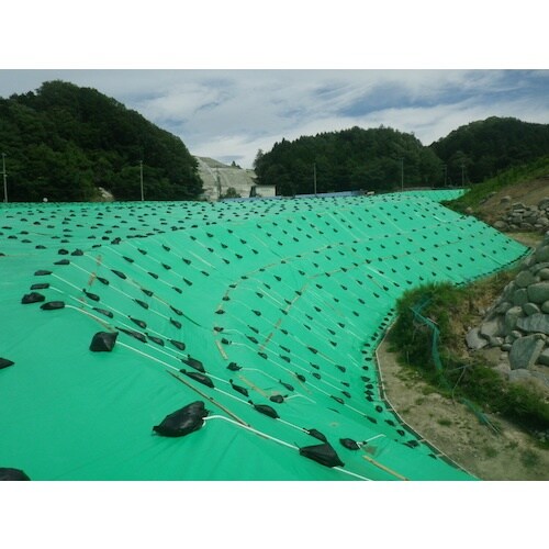 萩原 ターピー UVシート #4000 グリーン