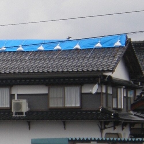 萩原 ターピー スーパー土のう(箱入り) ナチュラ