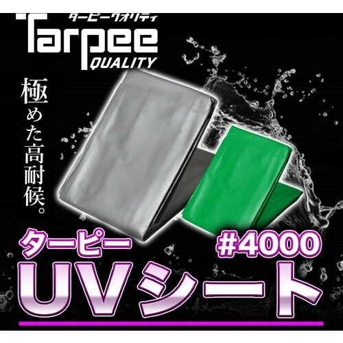 萩原 ターピー UVシート #4000 グリーン
