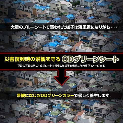 萩原 ターピー 防災・減災シート#3000 ODグ