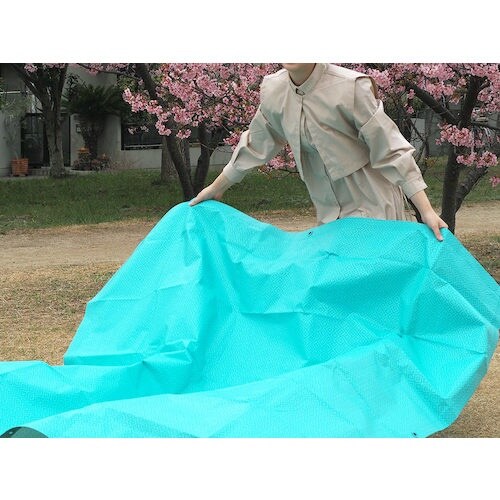 萩原 【売切廃番】 ターピー 和みシート HAGI