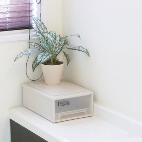 TENMA フィッツケース(プチ) カプチーノ 1