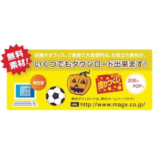 マグエックス ぴたえもん A3 マット 5枚入り