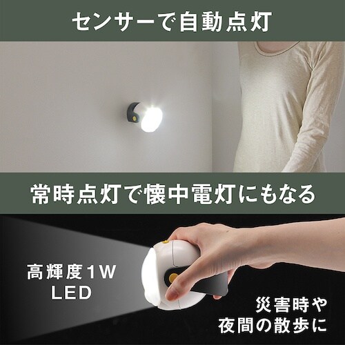 RITEX LEDどこでもセンサーライト