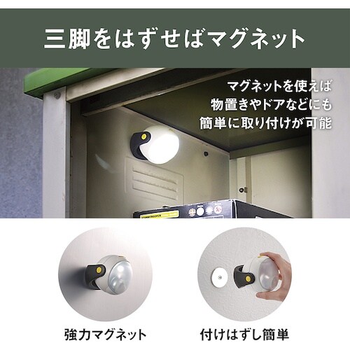 RITEX LEDどこでもセンサーライト