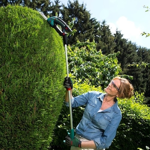 ボッシュ コードレスガーデンバリカン延長ハンドルセ