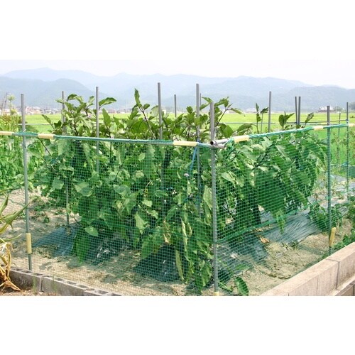 ワイドクロス アニマルネット 幅1m×長さ50m