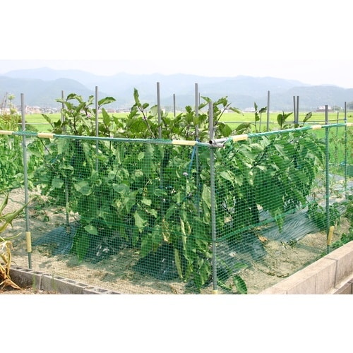 ワイドクロス アニマルネット 幅2m×長さ50m