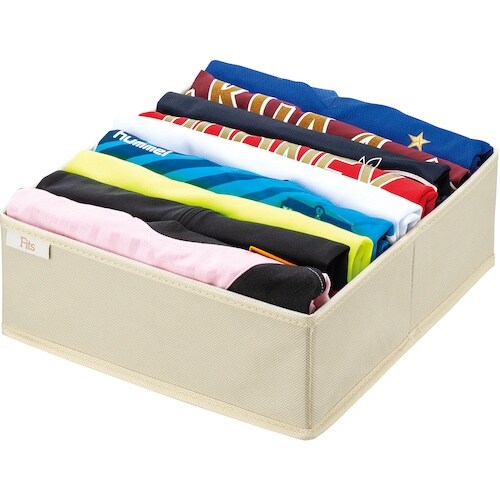 TENMA せいとんボックス LL