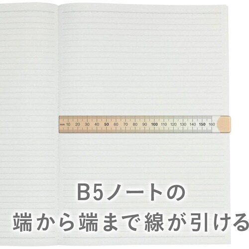 共栄プラスチック ニュアンスカラー定規 16cm