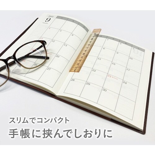 共栄プラスチック ニュアンスカラー定規 16cm