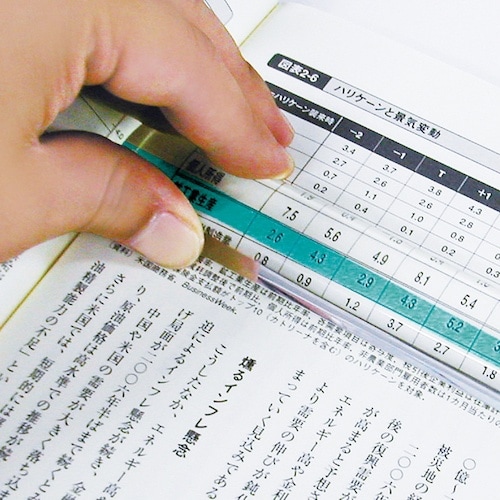 共栄プラスチック カラーバールーペ・ミニ ライトグ