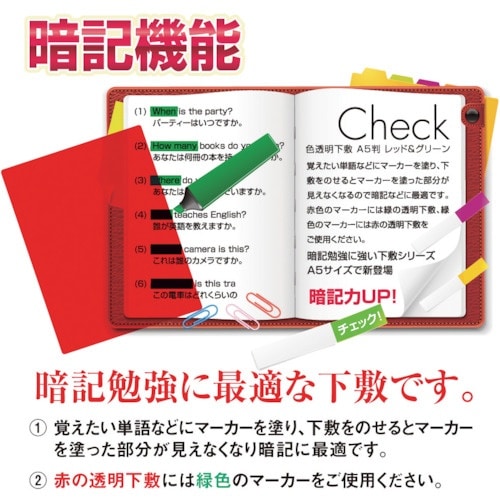 共栄プラスチック 色透明下敷 B5 レッド