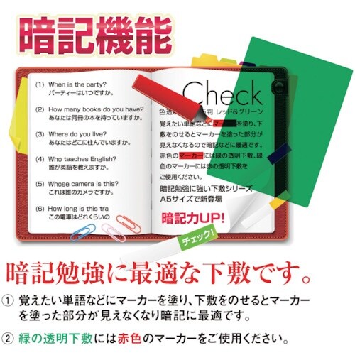 共栄プラスチック 色透明下敷 B5 グリーン