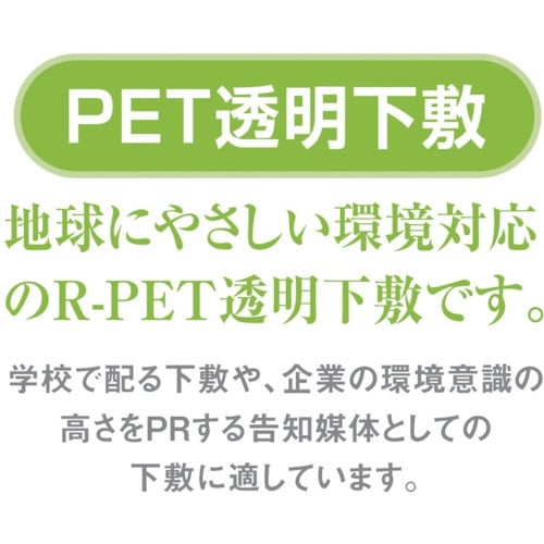 共栄プラスチック PET透明下敷 B5