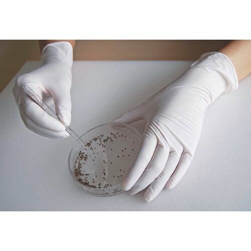 SHOWA ニトリルゴム使い捨て手袋 No884