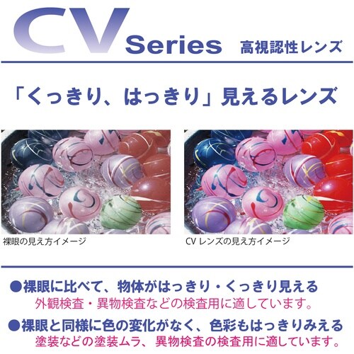 YAMAMOTO 一眼型保護メガネ 高視認性グラス