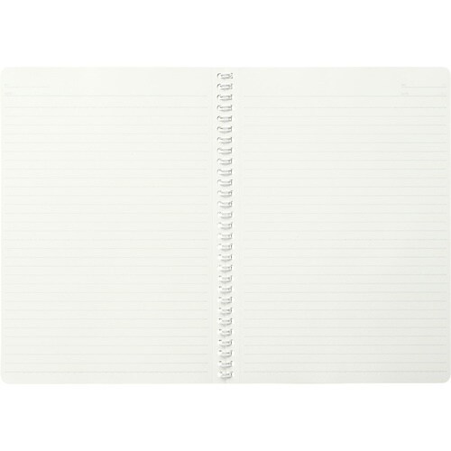 maruman B5 ノート COCOCHY Lパ