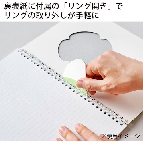 maruman A5 ノート COCOCHY Lオ