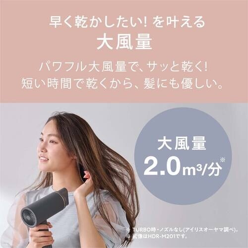 IRIS 100720 イオンドライヤー オフホワ