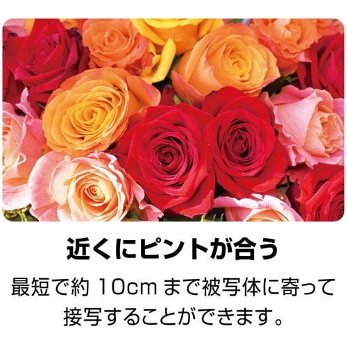 Kenko 144068 軽量オートフォーカス広角