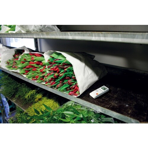 TESTO 温度データロガー testo 184